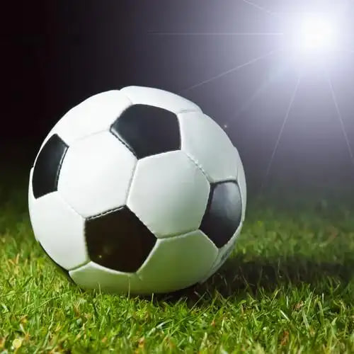 足球赛事观看者场景